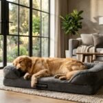Best Orthopedic Dog Bed (2026): The11