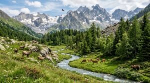 Animals That Live in the Mountains