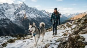 What Is the Best Dog Breed for an Active Person?